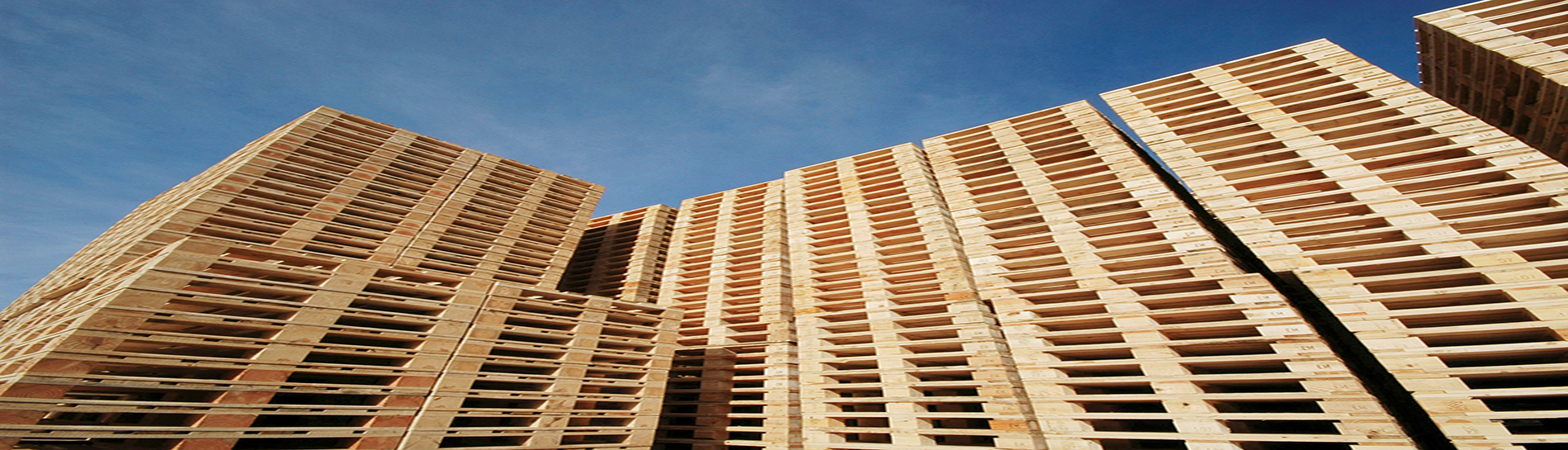 Palette en bois Tunisie